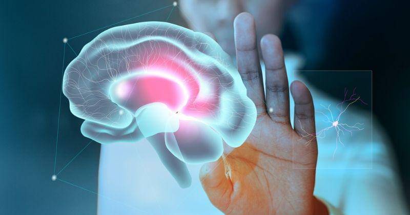 Freepik/Rawpixel.com